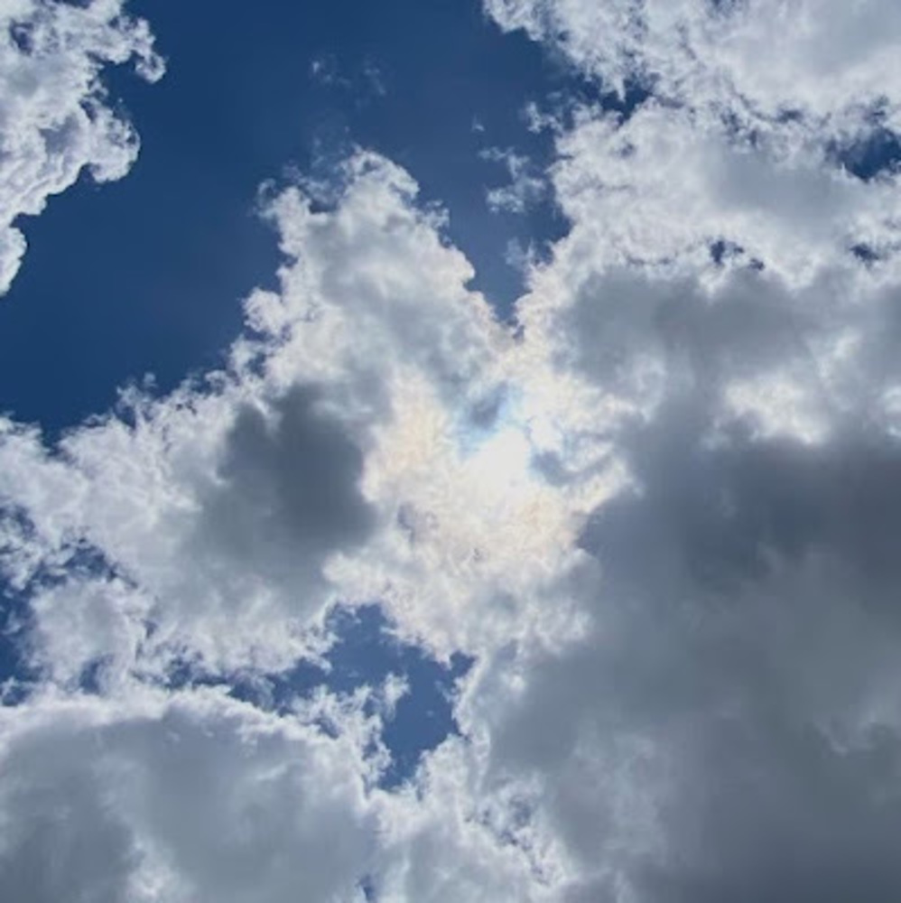 Meet your Posher, Leticia